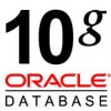 oracle 10G 標(biāo)準(zhǔn)版 25用戶 廠家正版授權(quán)