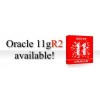 oracle 11G 標(biāo)準(zhǔn)版 25用戶 廠家正版授權(quán)