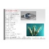 LED-3W尖泡燈