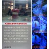 多功能調(diào)光投影屏