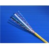 六A類高速網絡電纜UTP-6A