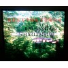 P5高清LED顯示屏報價