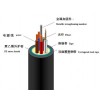 GYTA-12B1+4*6.0mm河北西藏太原青海復(fù)合光纜價
