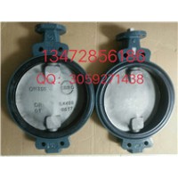 現貨德國依博羅蝶閥Z011-A DN350