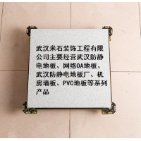 武漢防靜電地板、網(wǎng)絡OA地板、武漢防靜電地板廠、機房墻板、PVC地板