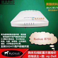 美國優科r750復雜干擾環境專用無線AP Ruckus R750